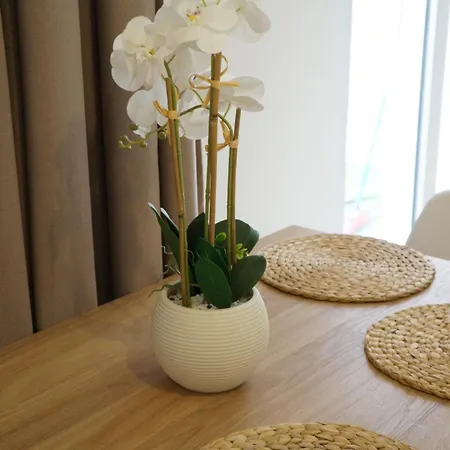 Confort Avec Grande Terrasse Apartment Nizza